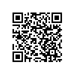 RNCF1206BTE13K2 QRCode