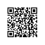 RNCF1206BTE953K QRCode