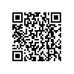 RNCF1206DKE102R QRCode