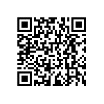 RNCF1206DTC13R3 QRCode