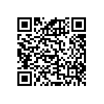 RNCF1210DKE102K QRCode