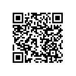 RNCF1210DTC13R0 QRCode