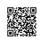 RNCF2512BKE2K67 QRCode