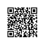 RNCF2512BTC113K QRCode