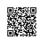 RNCF2512BTE2K61 QRCode