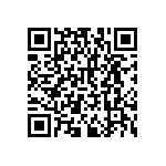 RNCF2512BTE31K6 QRCode