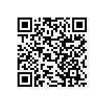 RNCF2512BTE392K QRCode