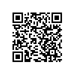 RNCF2512BTE3K32 QRCode