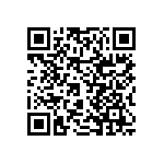 RNCF2512DTC383R QRCode