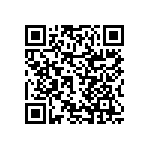 RNCF2512DTC91R0 QRCode