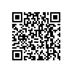 RNCF2512DTE11K8 QRCode