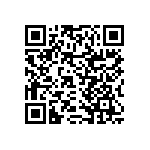 RNCF2512DTE13K3 QRCode