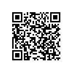 RNCS1206BKE6K04 QRCode