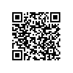 RNR60J1001FSBSL QRCode