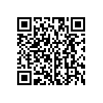 RS2012P-333-D-T5-3 QRCode