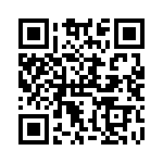 RSA22DTKT-S288 QRCode