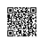 RT0402BRD071K13L QRCode