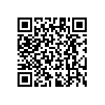 RT1206BRB07309RL QRCode