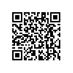 RT1206BRB073K01L QRCode