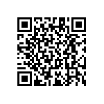 RT1206BRC07102RL QRCode