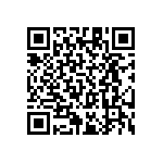 RT1206BRC07169RL QRCode