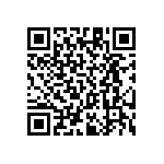 RT1206BRC07287KL QRCode