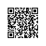 RT1206BRC0729R4L QRCode