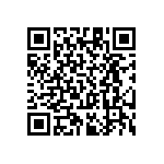 RT1206BRC07348KL QRCode