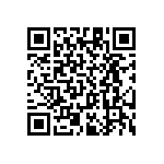 RT1206BRC073K48L QRCode