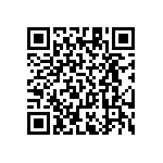 RT1206BRC07402KL QRCode