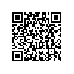 RT1206BRC0747RL QRCode