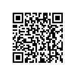 RT1206BRD0711K3L QRCode