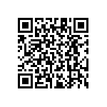 RT1206BRD0713K7L QRCode