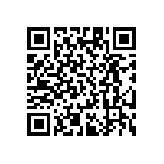 RT1206BRD072K49L QRCode