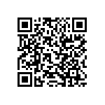 RT1206BRE0713RL QRCode