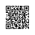 RT1206BRE07165KL QRCode