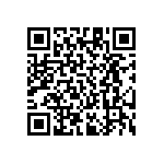 RT1206BRE07205KL QRCode