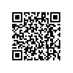 RT1206BRE07487KL QRCode