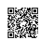 RT1206BRE0788R7L QRCode