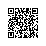 RT1206CRB07102RL QRCode