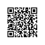 RT1206CRB07205RL QRCode