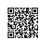 RT1206CRB0722K1L QRCode