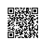 RT1206CRB07487RL QRCode