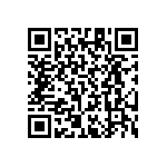 RT1206CRB074K53L QRCode