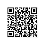 RT1206CRB0793R1L QRCode