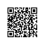 RT1206CRC0718K7L QRCode