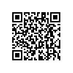 RT1206CRC07294KL QRCode