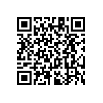 RT1206CRC07324KL QRCode