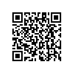 RT1206CRC07787RL QRCode