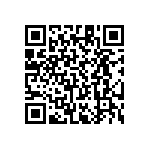 RT1206CRE0742K2L QRCode